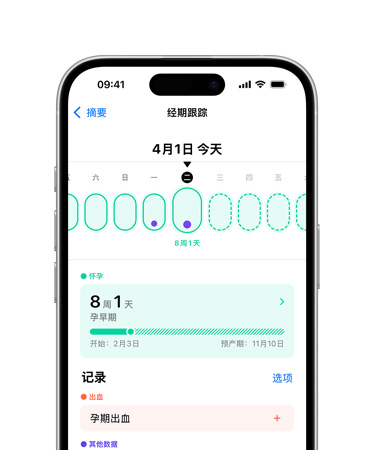 iPhone 16 的正面视图，用户界面显示健康 app 中的经期跟踪功能。