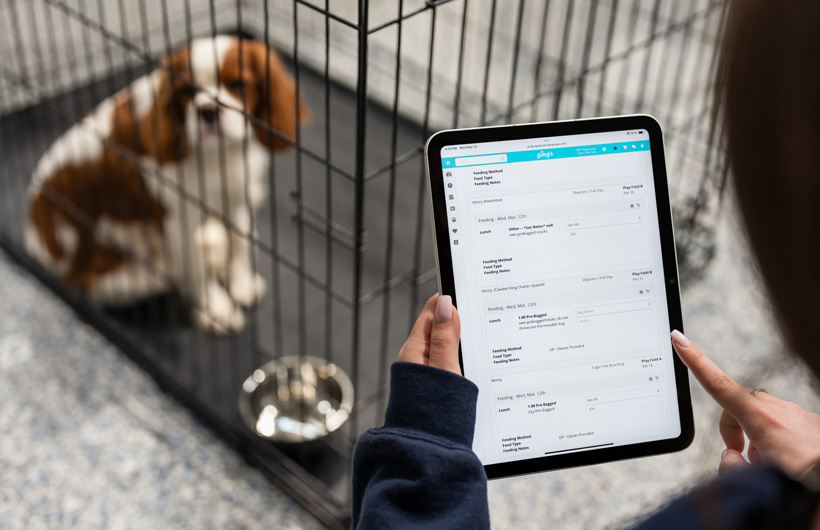 有了 iPad，宠物护理师可以使用 Gingr 这款宠物业务管理 app，实时更新宠物状况，如食物和药品摄取量。